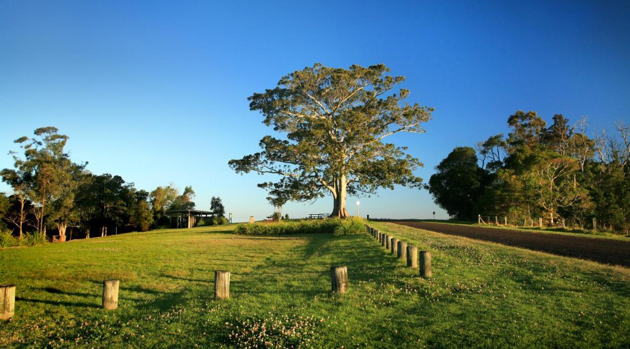 Oaks Toowoomba Hotel المظهر الخارجي الصورة